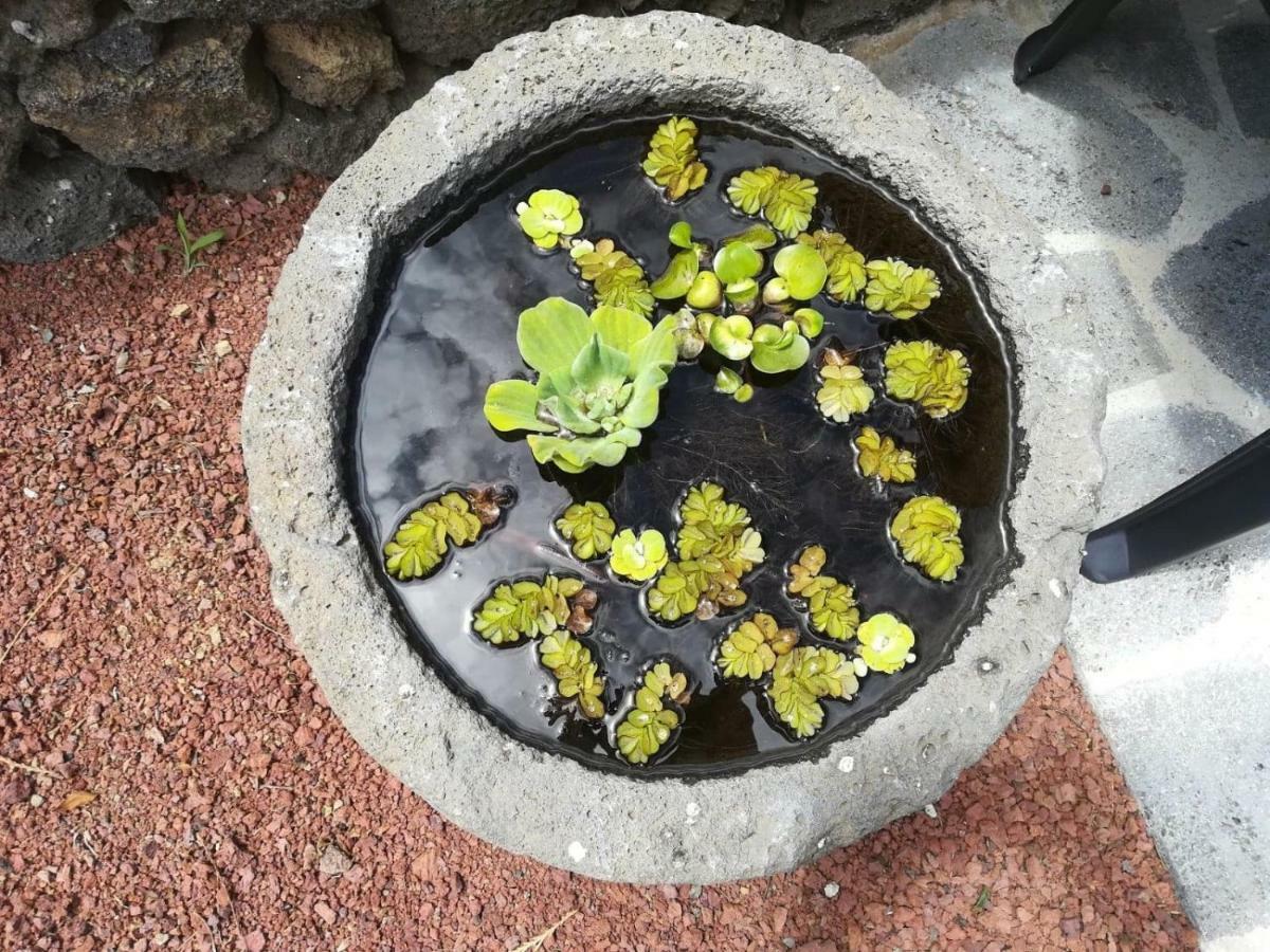 Casa Das Sereias Rabo de Peixe Zewnętrze zdjęcie